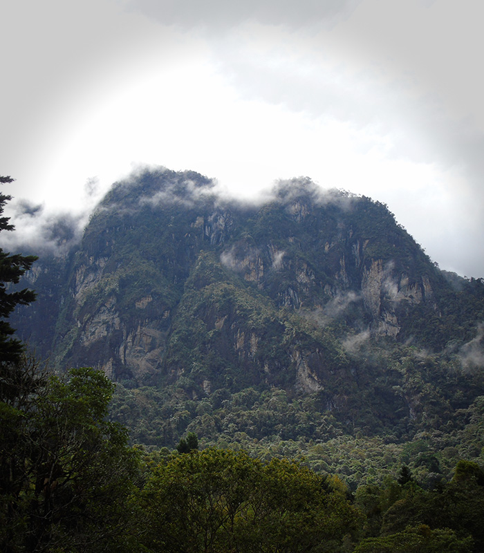 penas-blancas-sendero-al-cielo